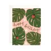 Monstera Birthday